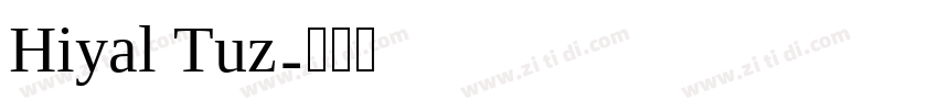 Hiyal Tuz字体转换
